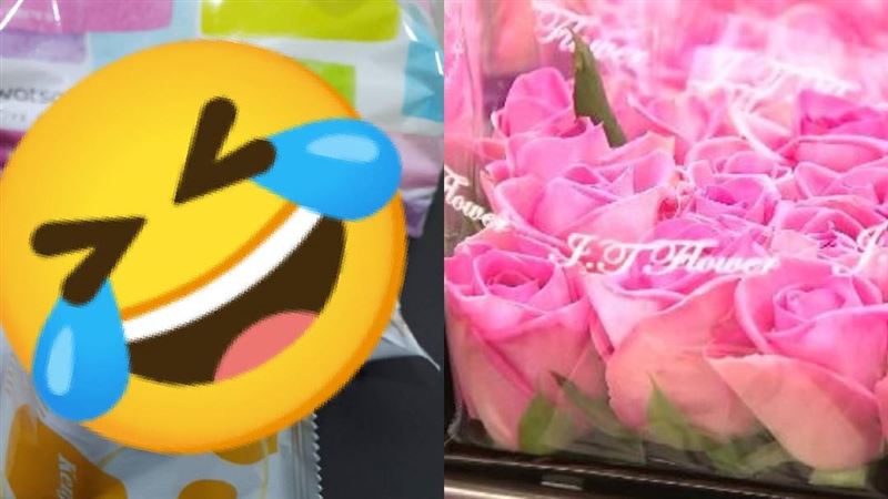同居女友垃圾堆成花！網笑：很有創意