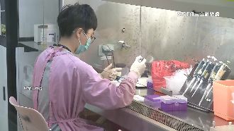 P3「陽性」估環境汙染　專家解答