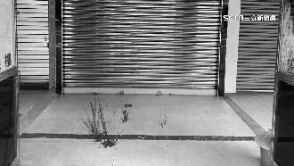 疑不滿直播諷　 臭雞蛋灌紅漆砸銀樓