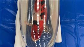 若鯉,錦鯉,新埔,比賽（圖／主辦單位提供）