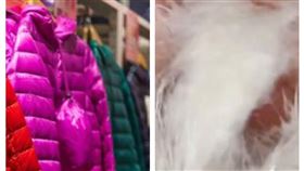  四川羽絨衣是假的（組合圖／翻攝自Pixabay圖庫與微博）