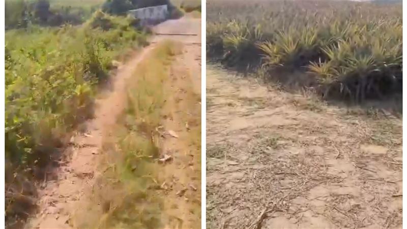 送餐影片曝光　網：外送這條路不好走