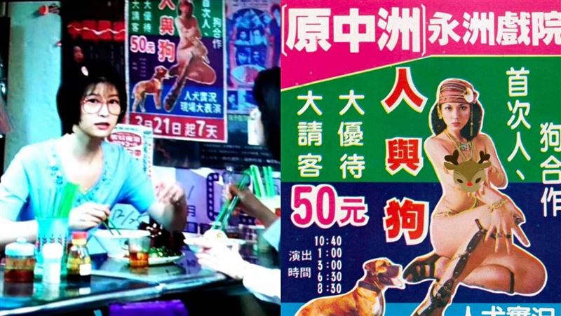 獨／華燈初上讓這隻狗與她爆紅