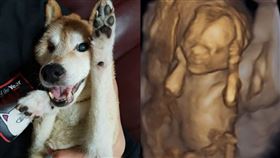 黃子佼。(圖／翻攝自黃子佼臉書）