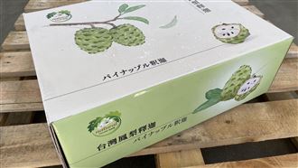 冷凍鳳梨釋迦明首航日本　直送消費者