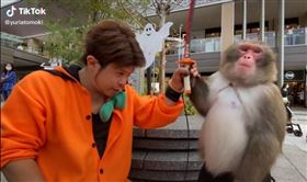 （圖／翻攝自抖音＠yuriatomoki）