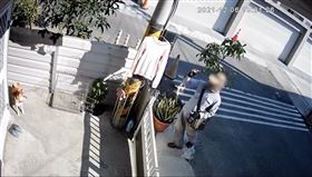 高雄,柴犬,陽光,鏡子,反射