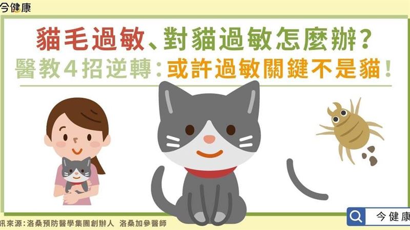 對貓過敏怎麼辦？醫教４招逆轉
