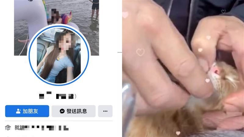 灌小貓藥酒被砲翻　正妹飼主急關IG