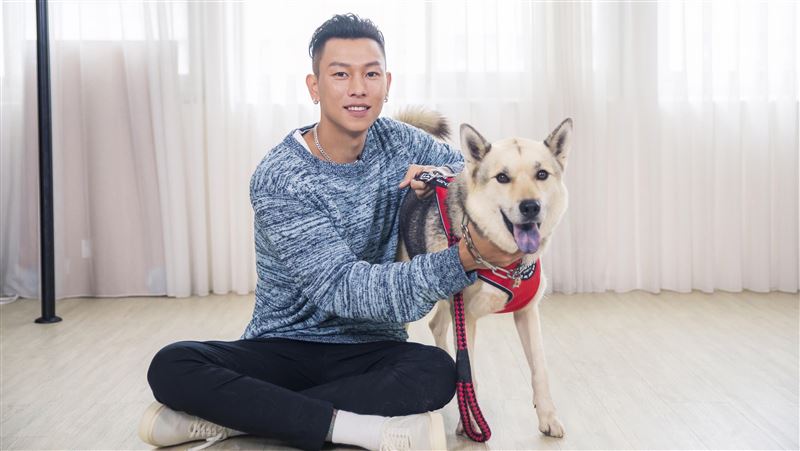 瘦子感念恩師養百隻浪浪　過敏也要幫