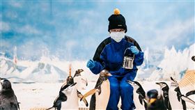 ▲12月16日 KLOOK獨家預售 屏東海生館「我與企鵝的0.1毫米」企鵝飼育照護體驗（圖／海景世界企業股份有限公司提供）