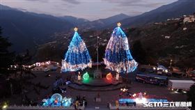 梨山聖誕樹／參山國家風管處提供