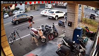 浪貓遭路殺　國中男徒手捧貓屍超暖心