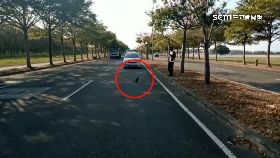 文 鷹擋路待援1200