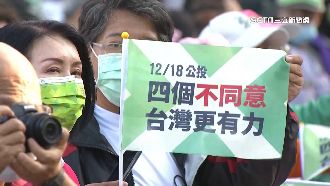 反萊豬代價大！各大咖力挺公投不同意