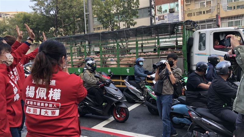 催公投票遇運豬車　他們：台灣豬加油