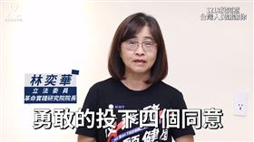 林奕華尷尬了！搞錯自己人　「四個同意」標記綠營許淑華（圖／翻攝自林奕華臉書）