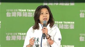 陳柏惟、林靜儀（圖／翻攝自民進黨直播）