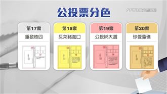 公投登場！4張選票外觀快看　別投錯