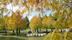 圖／台灣旅行趣