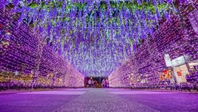 圖／台灣旅行趣