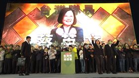 蔡英文、公投、投票（圖／民進黨提供）