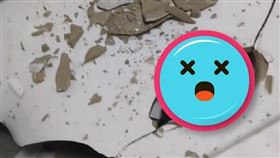  江西馬桶挖到魚（圖／翻攝自微博）