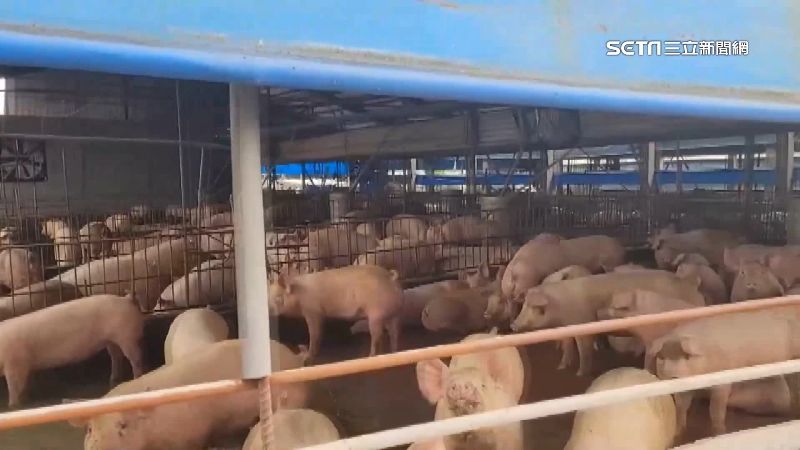 反萊豬未過　美參議員期待與台灣貿易