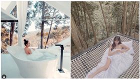 九樹森林瘋之谷,IG網友授權提供