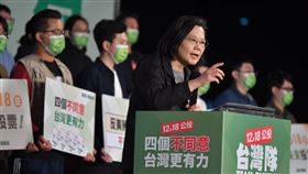 蔡英文、公投、投票（圖／民進黨提供）