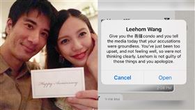 王力宏收買訊息（圖／翻攝自李靚蕾IG）