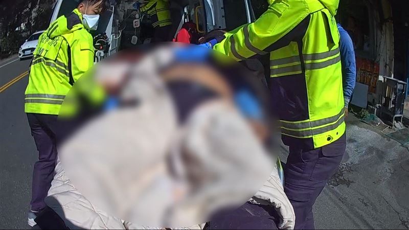 烏來雲仙樂園工人遭蜂螫　命危送醫