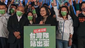 蔡英文、公投、投票（圖／民進黨提供）