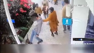 浪貓遭踢「空翻一圈」　店家公布畫面