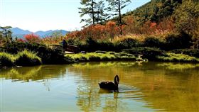 ▲（圖／業者提供）