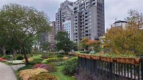 大安森林公園,杜鵑花 北市府提供