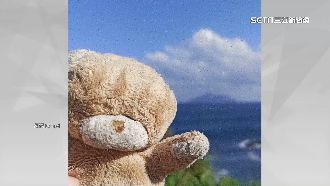 萬元獎金協尋熊玩偶　失主：它像家人