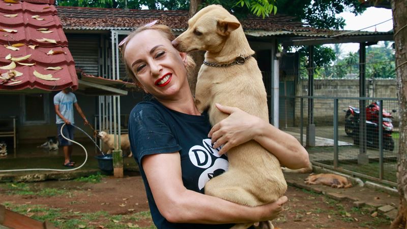 杜絕虐待動物　印尼國會擬制定動保法