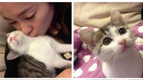 六月。（圖／翻攝自六月臉書）