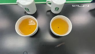 冬茶比賽竟混入「境外茶」！公布姓名