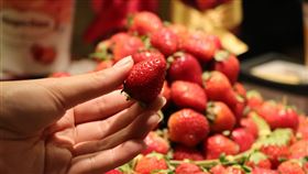 馬辣。（圖／業者提供）