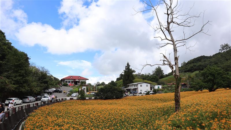 全國農村競賽　赤科山奪銀牌振奮偏鄉