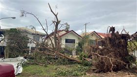 超級颱風襲菲 宿霧地區樹木遭吹倒超級颱風雷伊16日重創菲律賓中部和南部，各地缺水缺電，急需民生物資救援。圖為菲國中部宿霧地區災情。（僑胞提供）中央社記者陳妍君馬尼拉傳真  110年12月22日