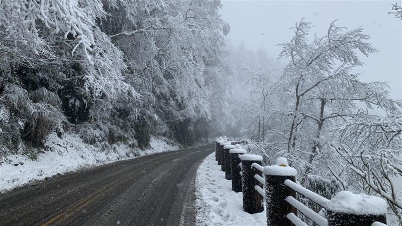 週日探9度　李富城揭太平山下雪時機