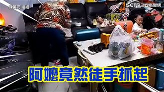 弟弟遭蟑螂荼毒！阿嬤徒手抓起網讚嘆