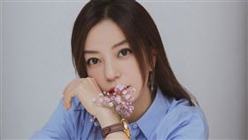 趙薇（圖／翻攝自趙薇微博）