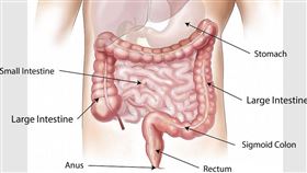 時報出版提供＋翻攝自pixabay