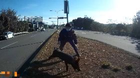 交流道前黑影亂竄 竹南警發動圍捕逮小