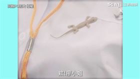 ▲▼。（圖／金有謙 授權）
