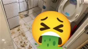 （圖／翻攝自爆廢公社二館）